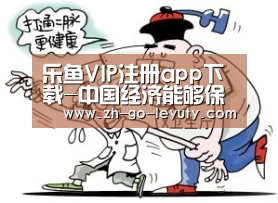 乐鱼VIP注册app下载-中国经济能够保持中高速增长(图3) leyu sports