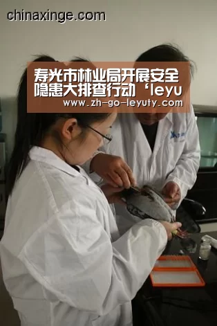 登录入口