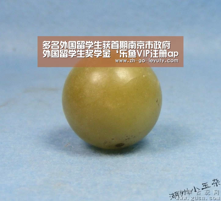 多名外国留学生获首期南京市政府外国留学生奖学金‘乐鱼VIP注册app下载’(图4) 乐鱼体育