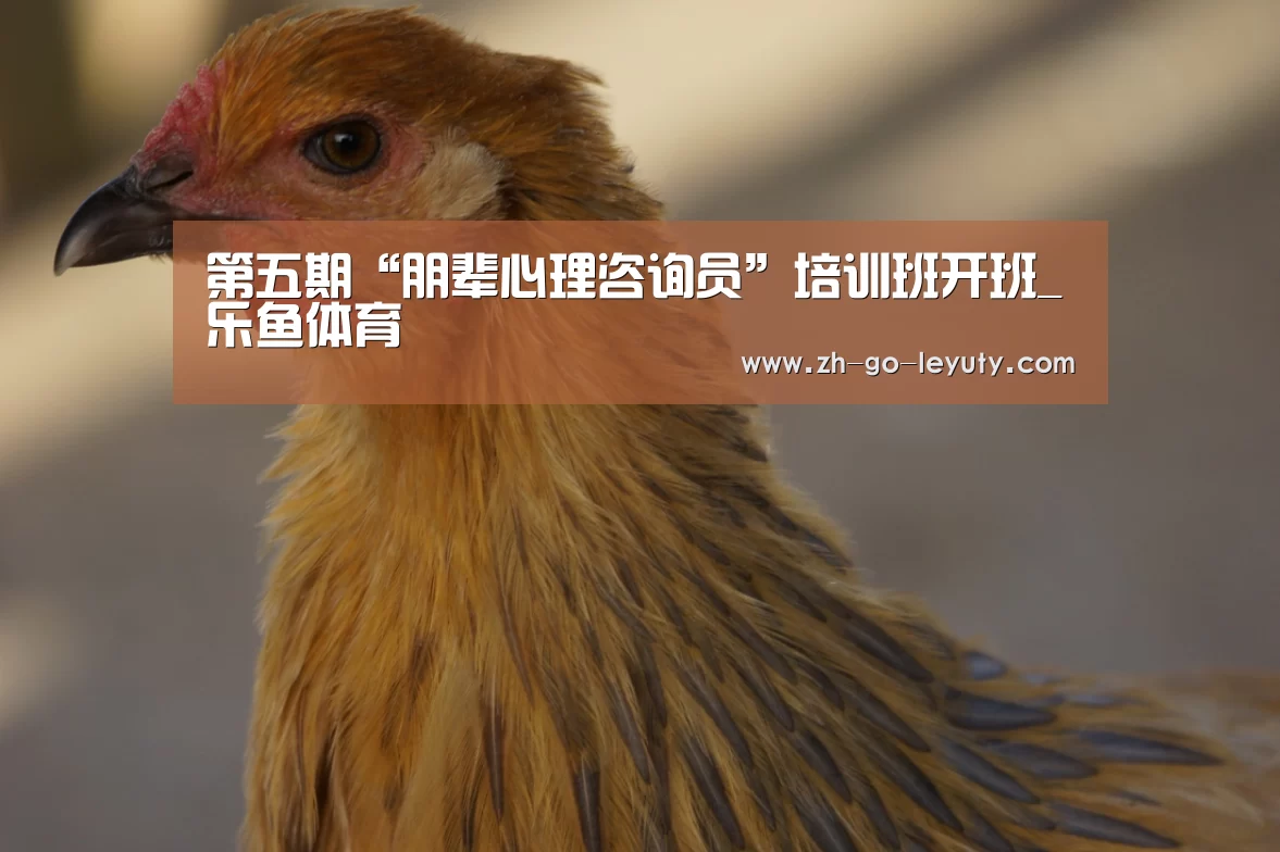 乐鱼体育