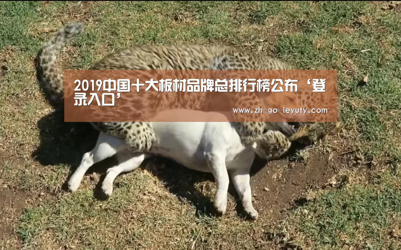 登录入口