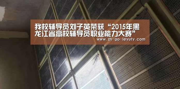 我校辅导员刘子英荣获“2015年黑龙江省高校辅导员职业能力大赛”二等奖“登录入口”(图4) 乐鱼VIP注册app下载